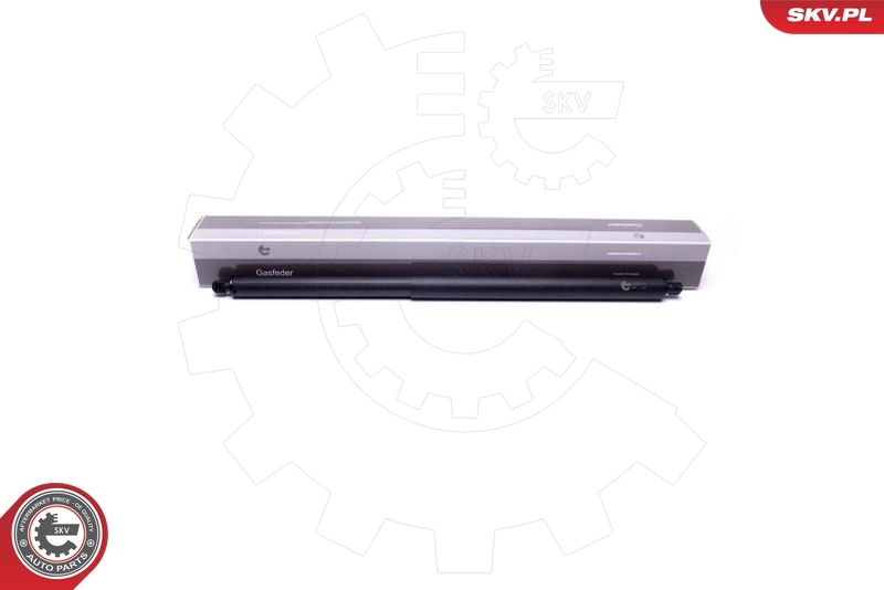 Gas Spring, boot/cargo area